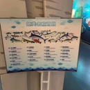 青岛贝林自然博物馆 - 青岛旅游 缩略图 5