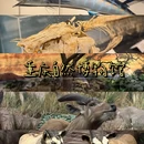 青岛贝林自然博物馆 - 青岛旅游 缩略图 1