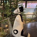 青岛贝林自然博物馆 - 青岛旅游 缩略图 7