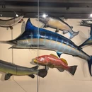 青岛贝林自然博物馆 - 青岛旅游 缩略图 9