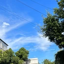 木舍轻居酒店(振兴北路) - 普洱市旅游 缩略图 5