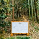 穹窿山-千真集灵坛 - 苏州旅游 缩略图 8