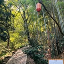 穹窿山-千真集灵坛 - 苏州旅游 缩略图 6
