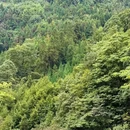 横山岗 - 成都市旅游 缩略图 5
