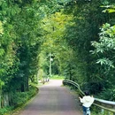 横山岗 - 成都市旅游 缩略图 9