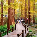 国家植物园南园 - 北京市旅游 缩略图 1