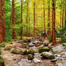 国家植物园南园 - 北京市旅游 缩略图 2