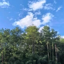 卧龙山公园 - 龙岩市旅游 缩略图 2