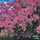 佳兆业壹号 - 广州市旅游 缩略图 3