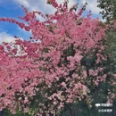 佳兆业壹号 - 广州市旅游 缩略图 4