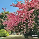 佳兆业壹号 - 广州市旅游 缩略图 6