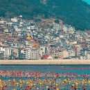 花筑·榕宿 - 宁德市旅游 缩略图 7