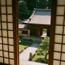 奈良 - 日本旅游 缩略图 2