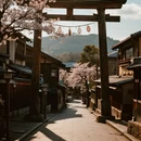 奈良 - 日本旅游 缩略图 1