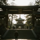 奈良 - 日本旅游 缩略图 7
