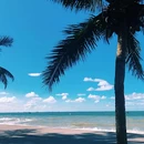 万尾金滩 - 防城港市旅游 缩略图 7