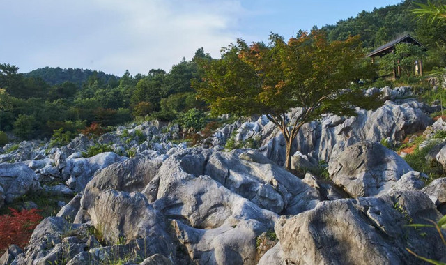 瑶琳国家森林公园