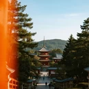 奈良 - 日本旅游 缩略图 6