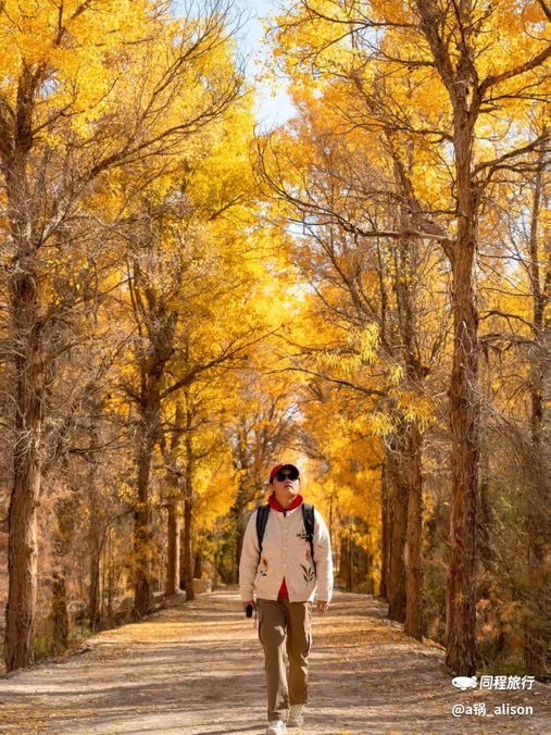中国金塔沙漠胡杨林景区 - 酒泉市旅游