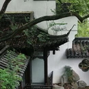 卷石洞天 - 扬州市旅游 缩略图 3