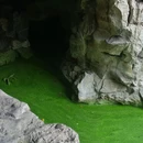 卷石洞天 - 扬州市旅游 缩略图 6