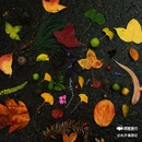 昆明植物园 - 昆明市旅游 缩略图 4