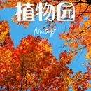 昆明植物园 - 昆明市旅游 缩略图 1