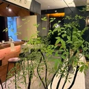 婺城区逸境·宋酒店(古子城步行街店) - 金华市旅游 缩略图 1