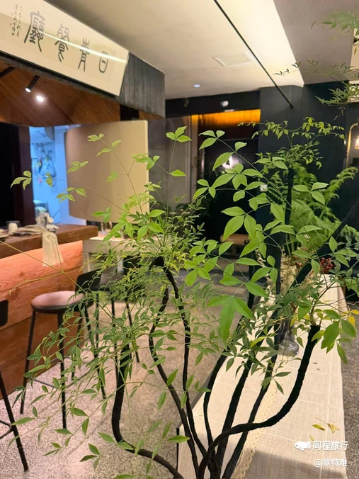 婺城区逸境·宋酒店(古子城步行街店) - 金华市旅游