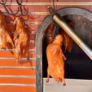 蓉福家宴.融合川菜(麓山店) - 成都市旅游 缩略图 9
