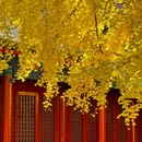 承恩寺 - 襄阳市旅游 缩略图 5