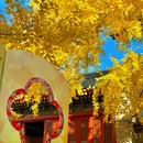 承恩寺 - 襄阳市旅游 缩略图 3