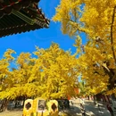 承恩寺 - 襄阳市旅游 缩略图 4