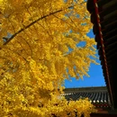 承恩寺 - 襄阳市旅游 缩略图 2