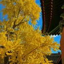 承恩寺 - 襄阳市旅游 缩略图 1