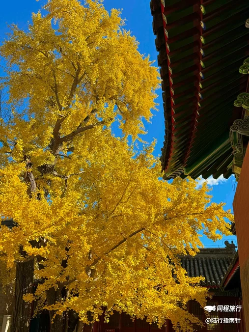 承恩寺 - 襄阳市旅游