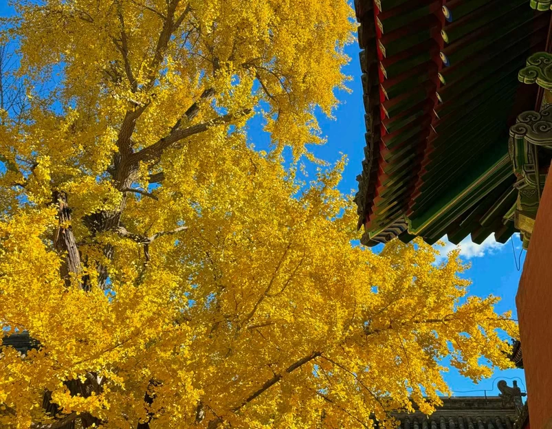 承恩寺 - 襄阳市旅游 1