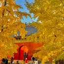 承恩寺 - 襄阳市旅游 缩略图 6