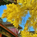 承恩寺 - 襄阳市旅游 缩略图 7