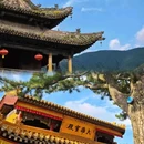 五台山风景区 - 忻州市旅游 缩略图 3