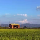 四季逸境酒店(金华高铁站银泰城店) - 金华市旅游 缩略图 9