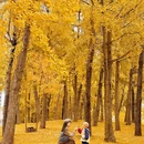 天府公园 - 成都市旅游 缩略图 6