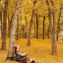 天府公园 - 成都市旅游 缩略图 8