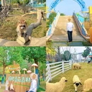 森灵欢乐世界 - 盐城市旅游 缩略图 9