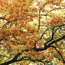 地坛公园 - 北京市旅游 缩略图 8