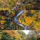 光雾山旅游景区 - 巴中市旅游 缩略图 3