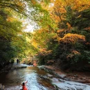 光雾山旅游景区 - 巴中市旅游 缩略图 4