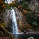 光雾山旅游景区 - 巴中市旅游 缩略图 6