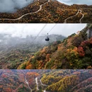 光雾山旅游景区 - 巴中市旅游 缩略图 8