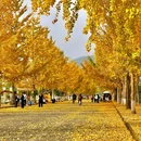 天府公园 - 成都市旅游 缩略图 3